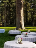 Wedding Package for 100 guests